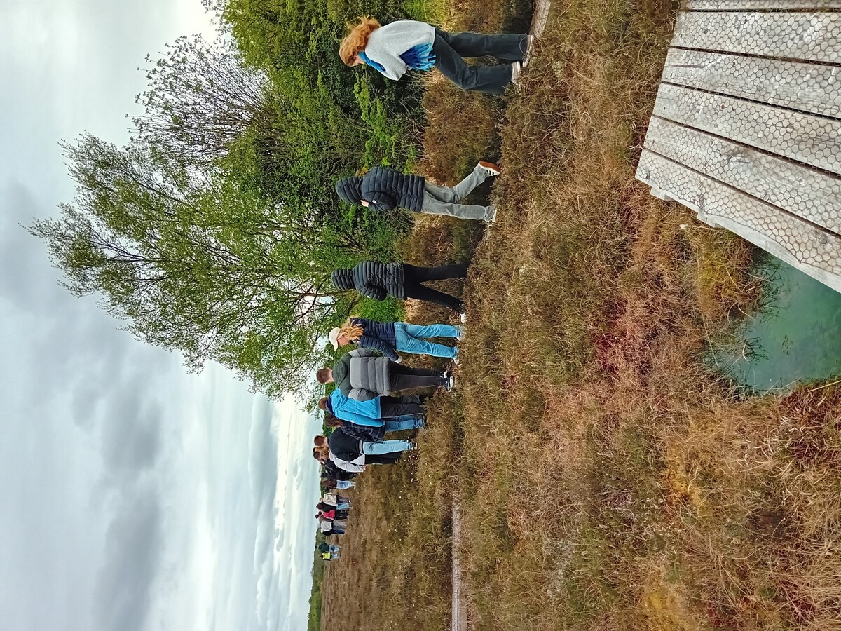 Petite balade digestive au soleil irlandais. Difficile de croire que jadis le pays était couvert de forêts. Image