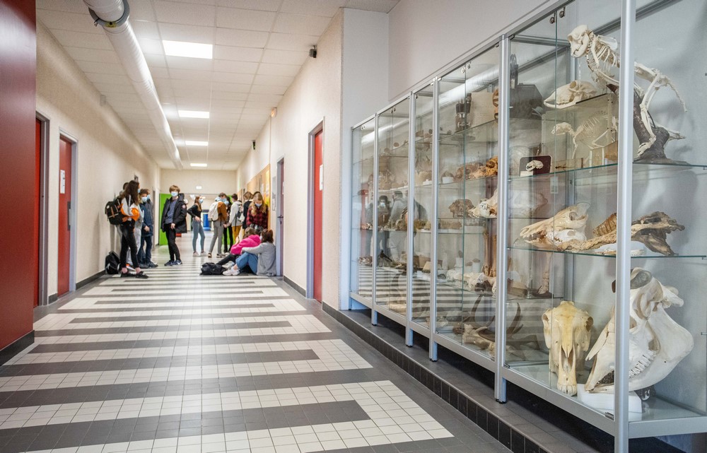 Couloir de l'étage des sciences