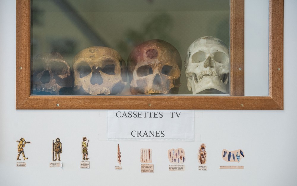 Collection de cr&acirc;nes utilis&eacute;e en sciences de la vie et de la Terre